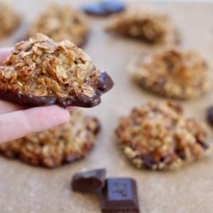 oatmeal spice cookies