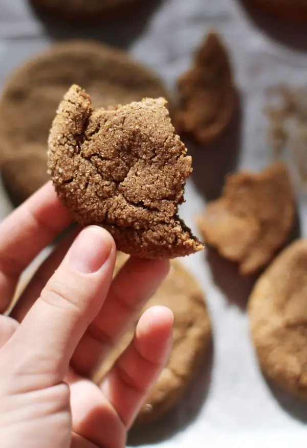 a bite out of a dairy free gingerbread cookie
