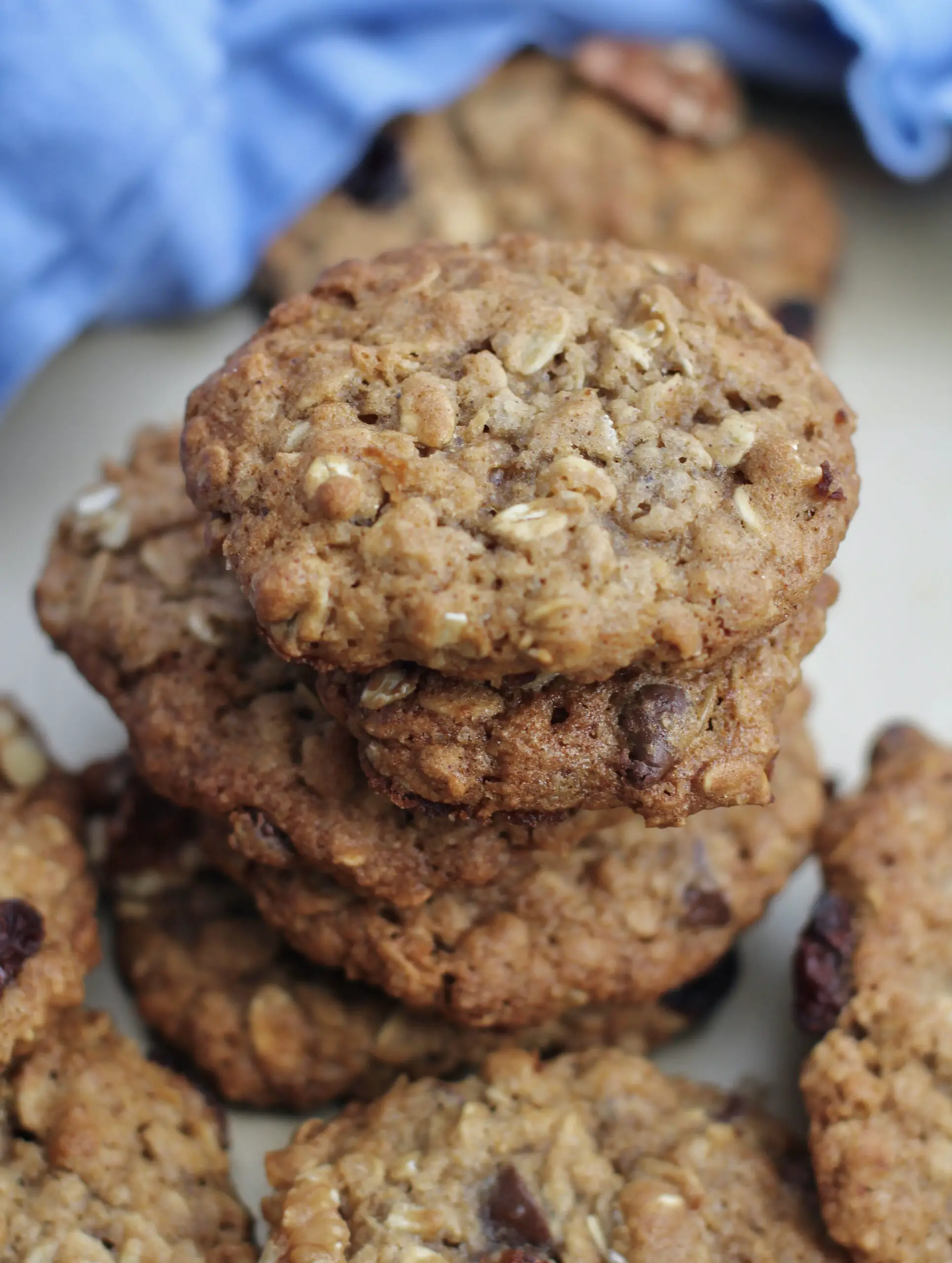 THE BEST Dairy-Free Oatmeal Cookies