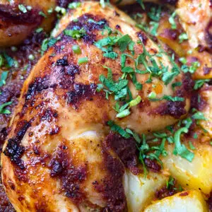 baked chicken topped with parsley